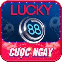 Giấy phép hoạt động w88