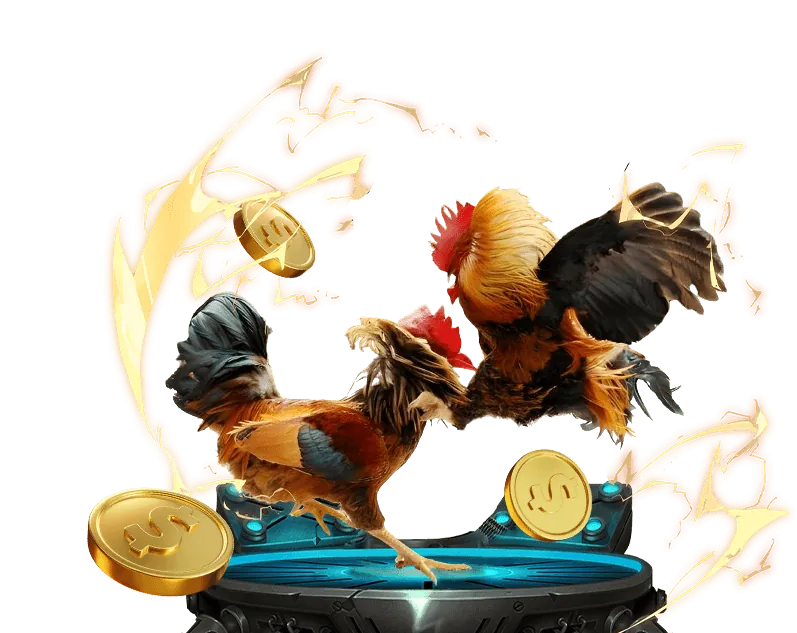 Đá gà trực tuyến W88 kịch tính